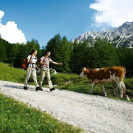 Oda ve Kahvaltı Foersterhaus & Haus Andrea 4*