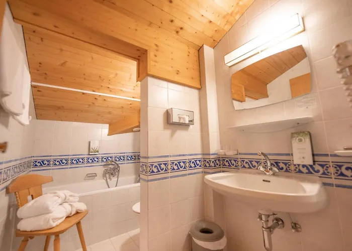 Foersterhaus & Haus Andrea Mayrhofen